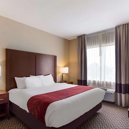 Comfort Suites North Mobile Saraland Ngoại thất bức ảnh
